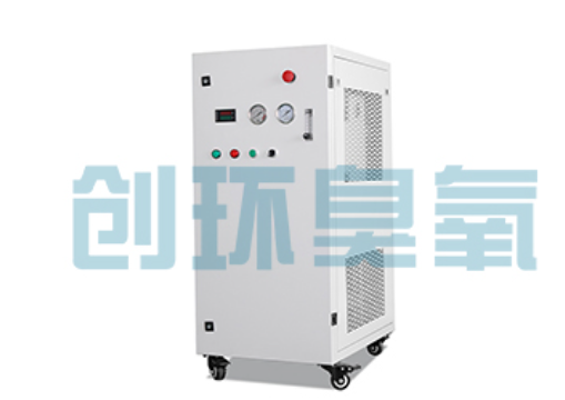 抚宁石斑鱼养殖水质调控完整指南：臭氧发生器配置与操作步骤